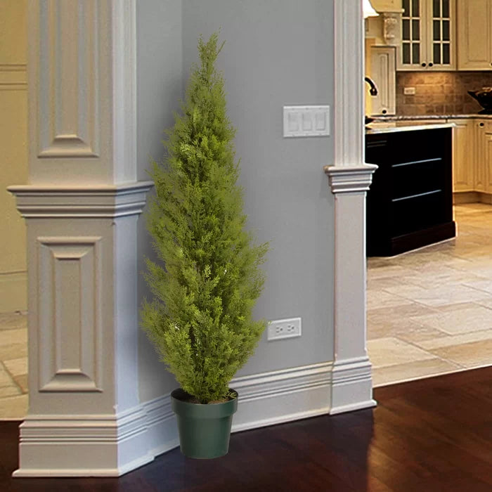60" H x 13" W x 13" D Evgenia 31.5" Artificial Cedar Topiary in Pot