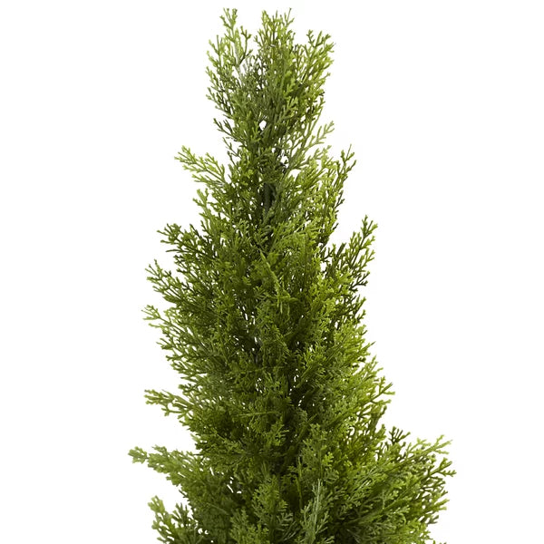 60" H x 13" W x 13" D Evgenia 31.5" Artificial Cedar Topiary in Pot