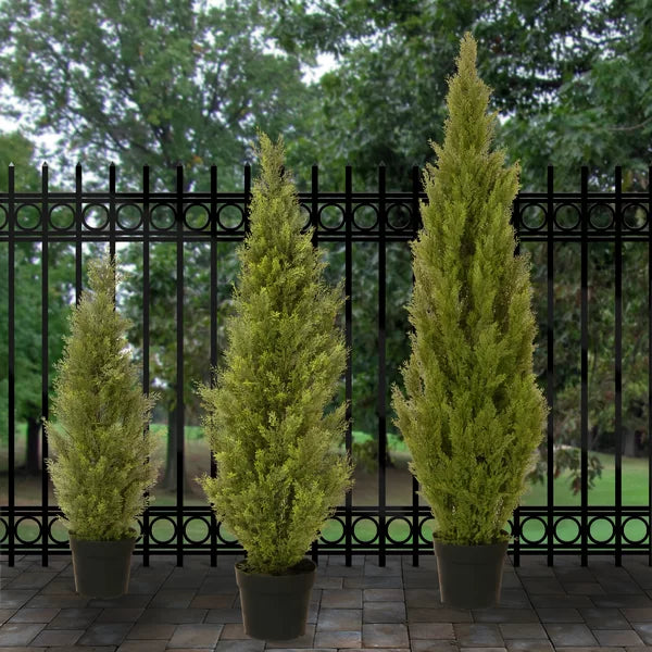 60" H x 13" W x 13" D Evgenia 31.5" Artificial Cedar Topiary in Pot