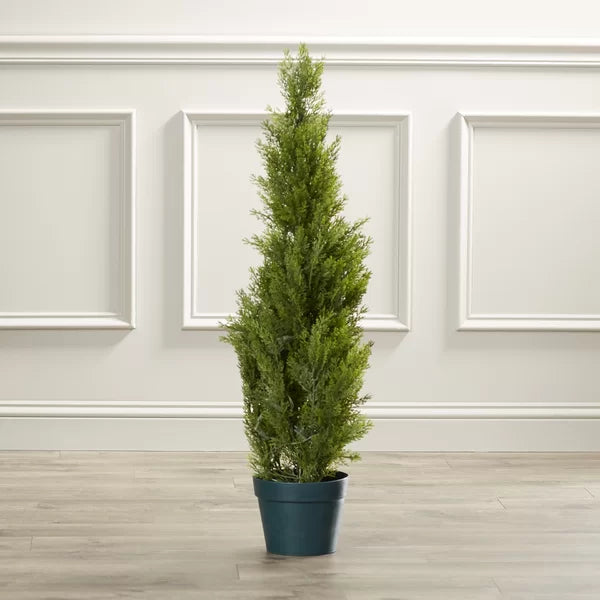 60" H x 13" W x 13" D Evgenia 31.5" Artificial Cedar Topiary in Pot