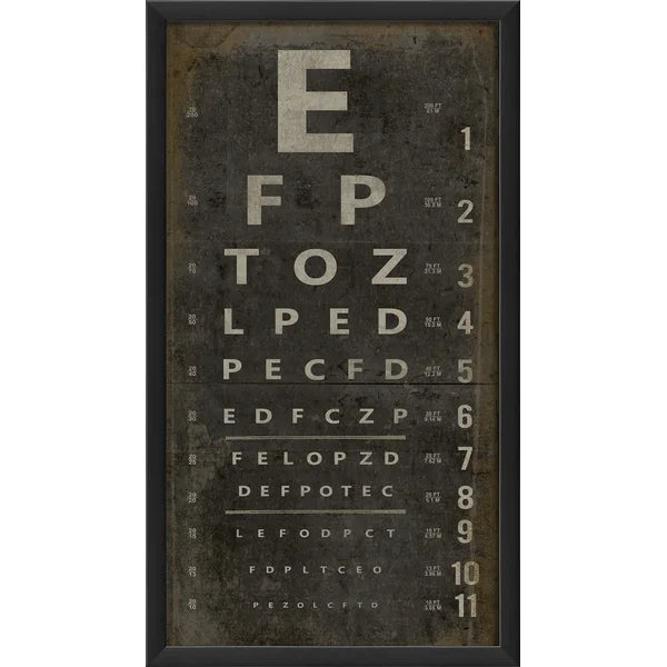 Eye Chart by The Artwork Factory - Picture Frame Textual Art – Salvage ...
