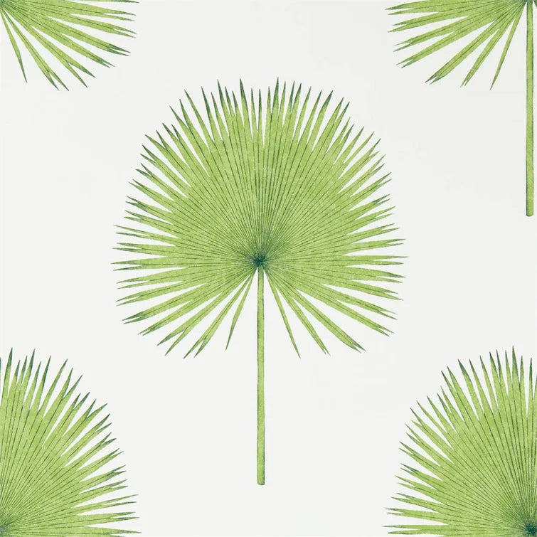 Botanical Green Fan Palm Floral Roll Wallpaper