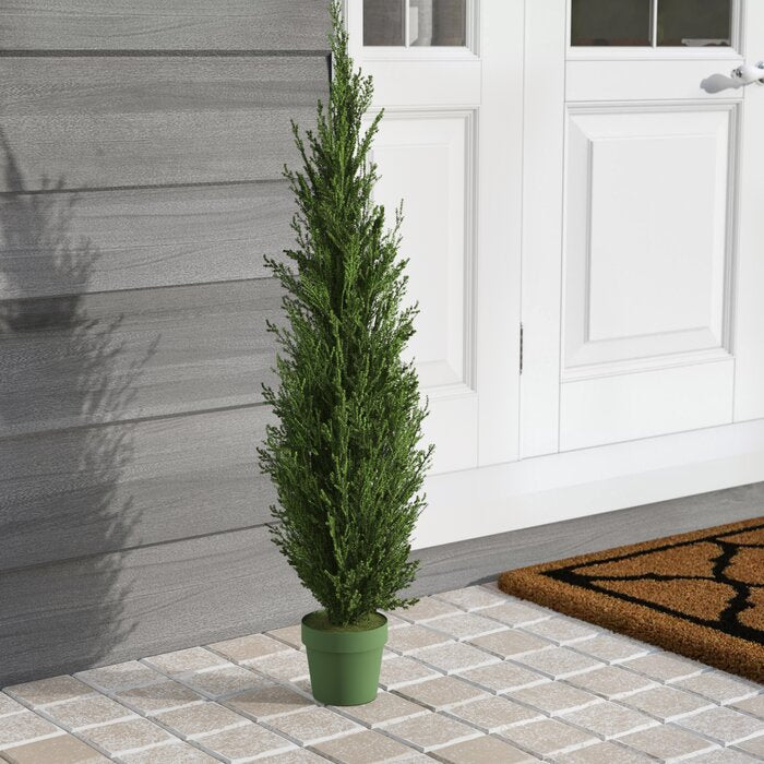 36" H x 10" W x 10" D Faux Cedar Tree in Pot, (Set of 2)