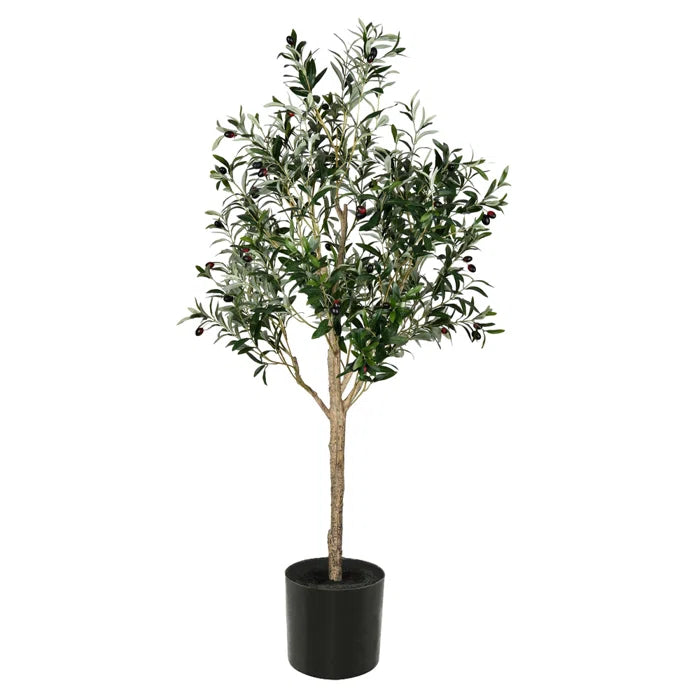 60" H x 24" W x 24" D Faux Olive Tree Plant in Cement Pot
