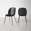 Black Fenway Side Chair (Set of 2)