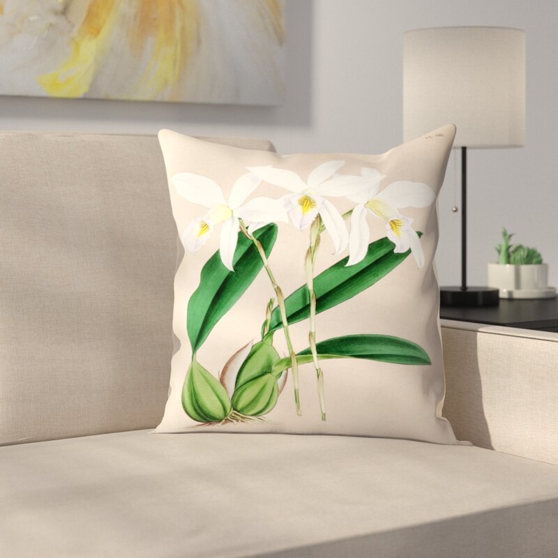 20" x 20" Fitch Orchid Laelia Anceps Hilliana Throw Pillow (Set of 3) VB424