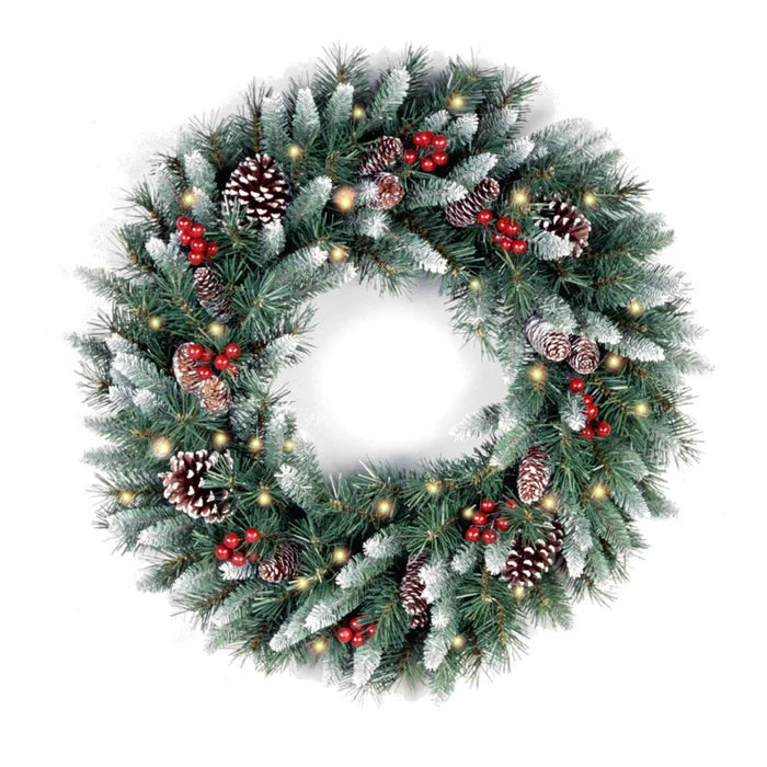 24" Frosted Berry Lighted PVC Wreath