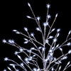 Frosty Lighted Display