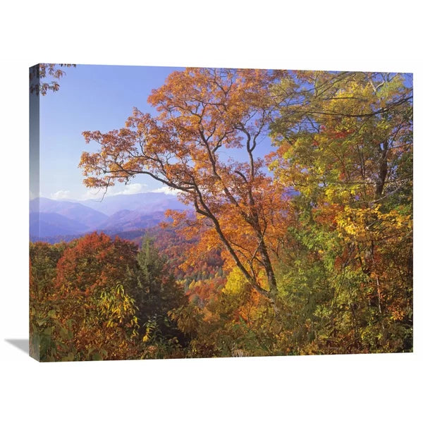 Great Smoky Mountains From Blue Ridge Parkway North Carolina by Tim Fitzharris - Print on Canvas 24"x32"