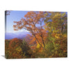 Great Smoky Mountains From Blue Ridge Parkway North Carolina by Tim Fitzharris - Print on Canvas 24