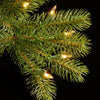 10' Green Fir Christmas Tree with Clear/White Lights