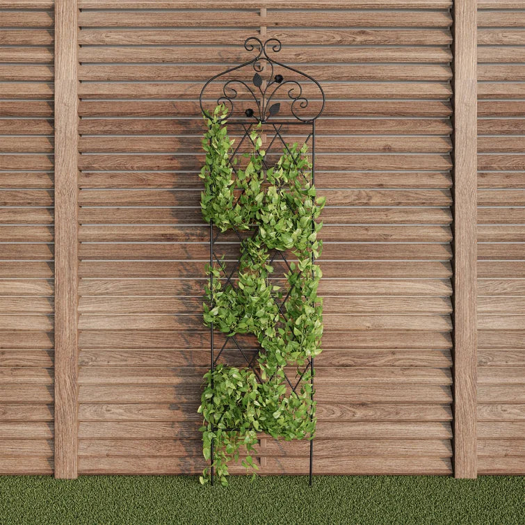 Black Growing Up Gardening 63'' H x 18'' W Lattice Panel Trellis