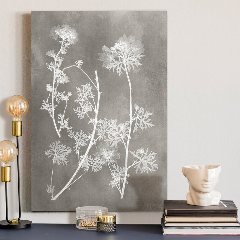 'Herbarium Study IV' - Wrapped Canvas Painting Print BAT124