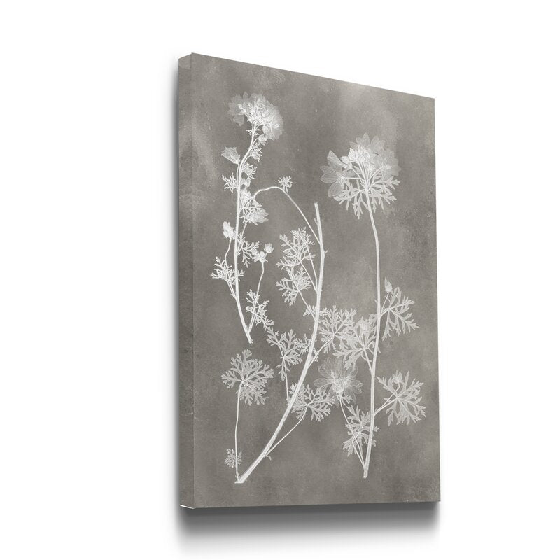 'Herbarium Study IV' - Wrapped Canvas Painting Print BAT124
