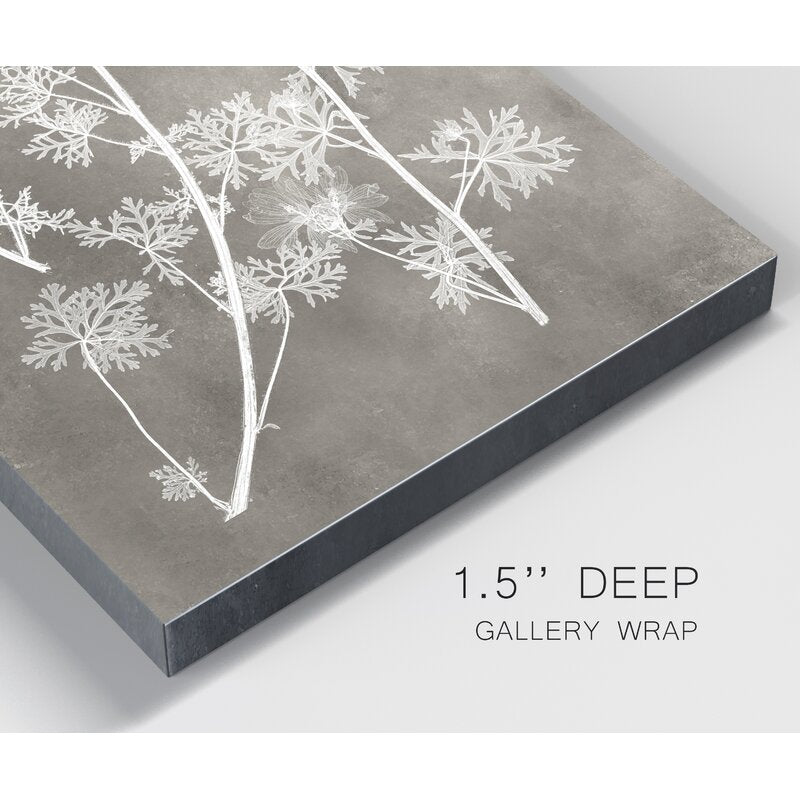 'Herbarium Study IV' - Wrapped Canvas Painting Print BAT124