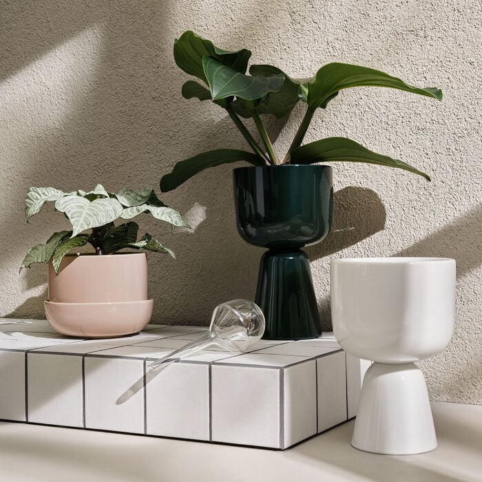 9" H x 6" W x 6" D Iittala Nappula Porcelain Urn Planter
