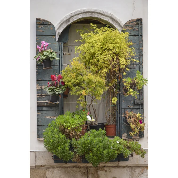 Italian Window Flowers IV by Laura Denardo - Wrapped Canvas Photograph, 18" H x 12" W x 1.25" D