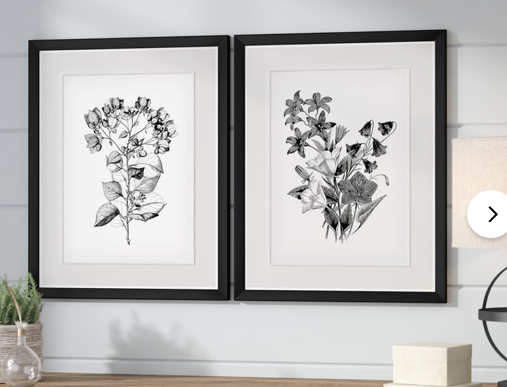 'Botanical Black and White' 2 Piece Framed Acrylic Painting Print Set  JB113