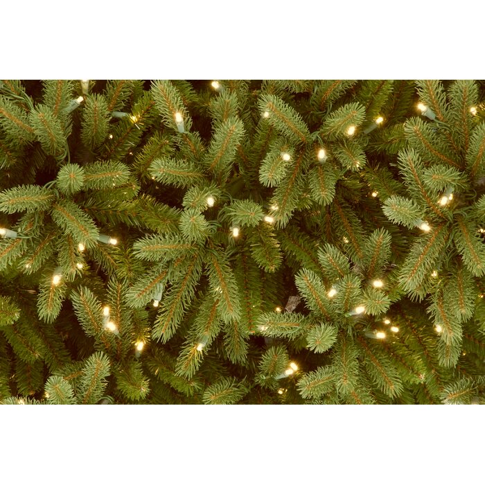 6' H Jersey Fraser Lighted Faux Fir Christmas Tree