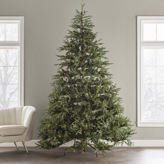 6' H Jersey Fraser Lighted Faux Fir Christmas Tree