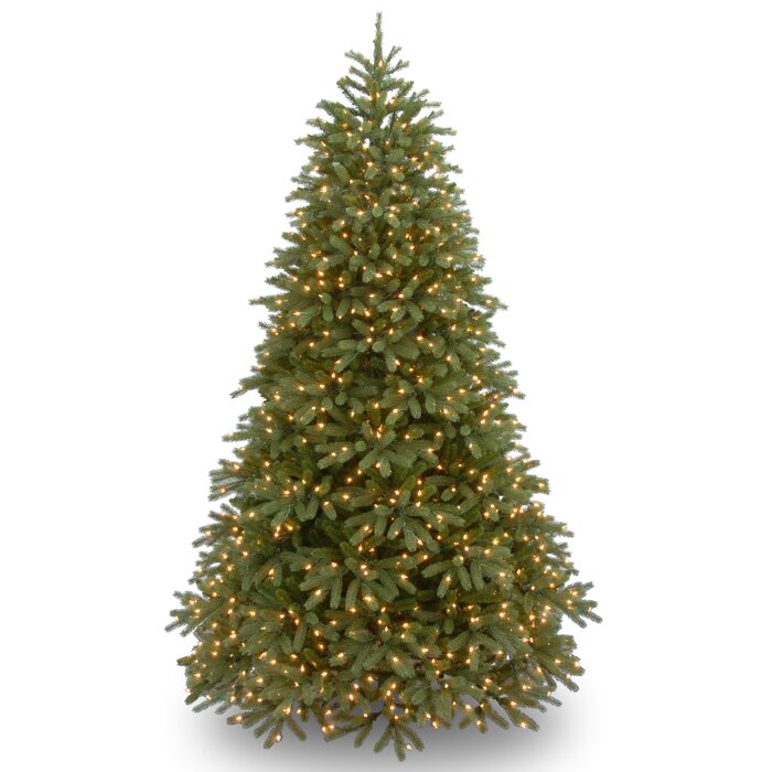 6' H Jersey Fraser Lighted Faux Fir Christmas Tree