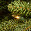 6' H Jersey Fraser Lighted Faux Fir Christmas Tree