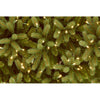 6' H Jersey Fraser Lighted Faux Fir Christmas Tree