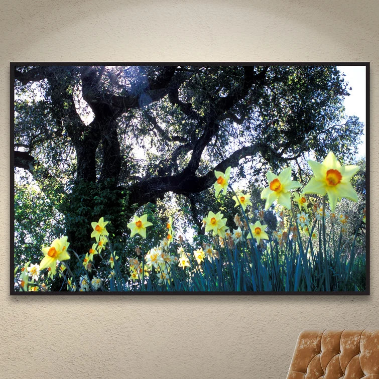 32" H x 48" W Kathy Yates - Photograph on Canvas
