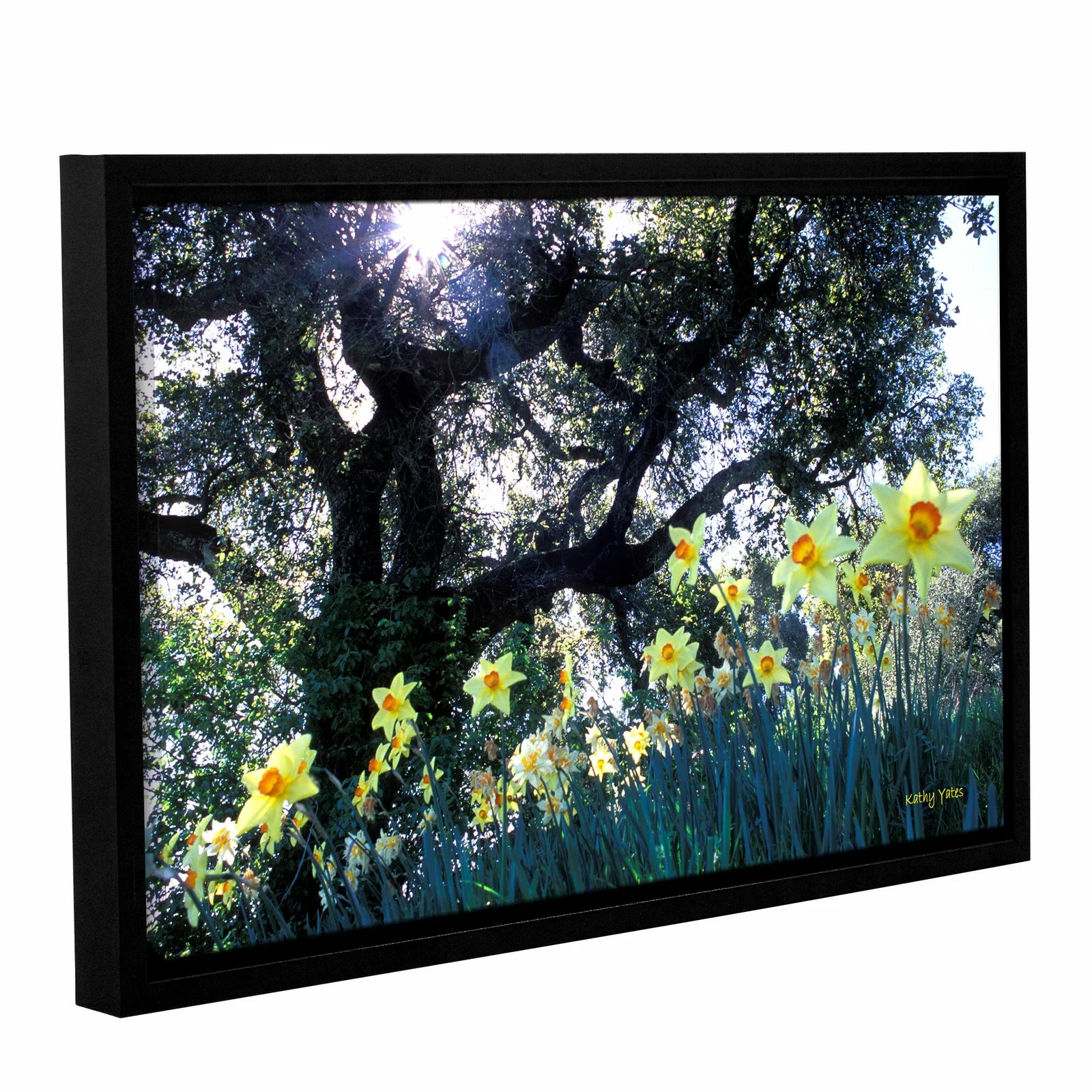 32" H x 48" W Kathy Yates - Photograph on Canvas