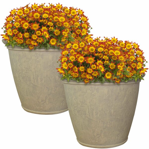 Beige Kehlani Resin Pot Planter SET OF 2 K8655