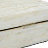 2 Piece Mother of Pearl Inlay Decorative Box Set