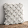 Keshawn Square Pillow Cover & Insert