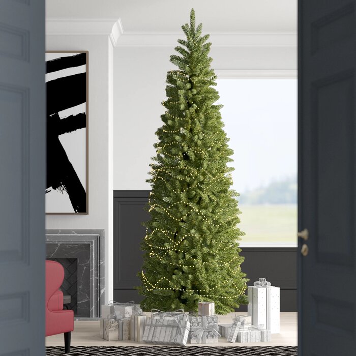 6' Kingswood Fir Pencil Tree with 200 Clear Lights (#K5446)