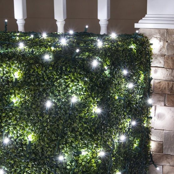5MM 4'x6' Twinkle Pure White LED Net Lights, Green Wire (Set of 2)