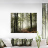 Landscape Light In Dense Fall Forest With Fog - Unframed Photograph 20