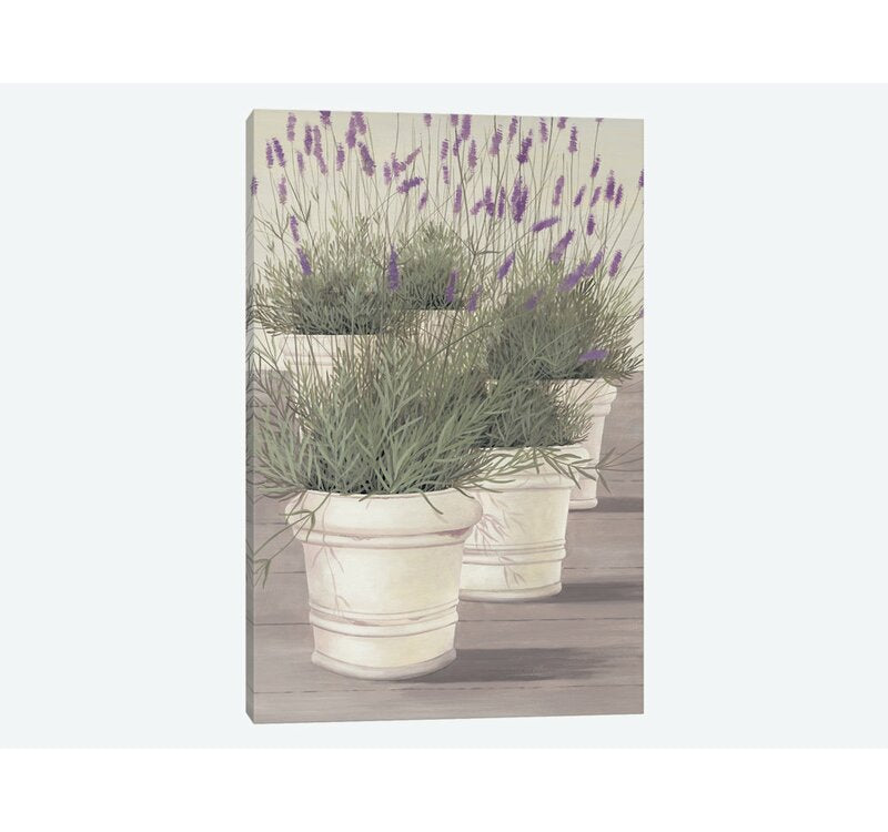 Lavender by Franz Heigl - 26x18 Wrapped Canvas Giclée CYB756