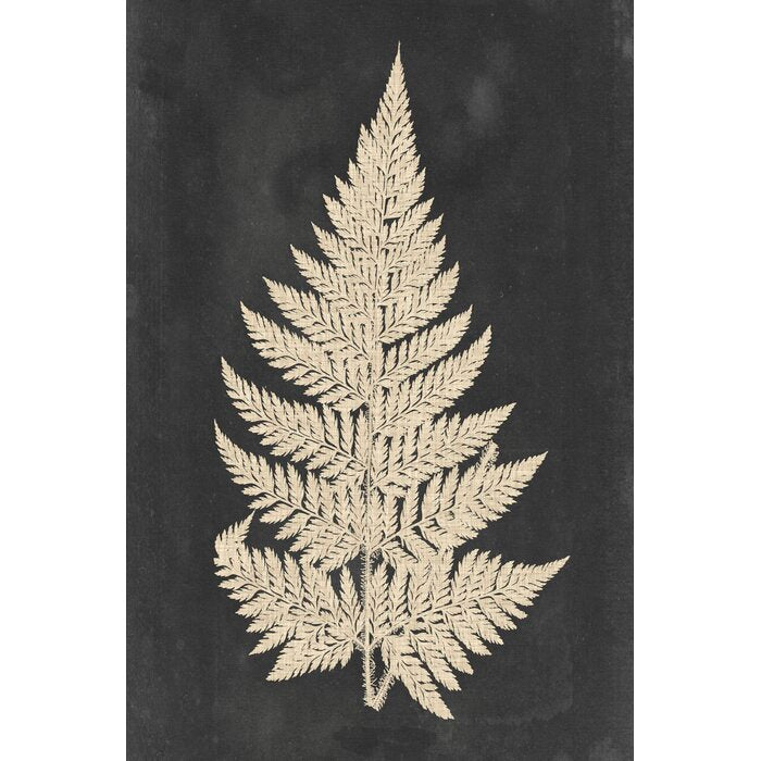 36" H x 24" W x 1.25" D Linen Fern I by Vision Studio - Graphic Art on Canvas