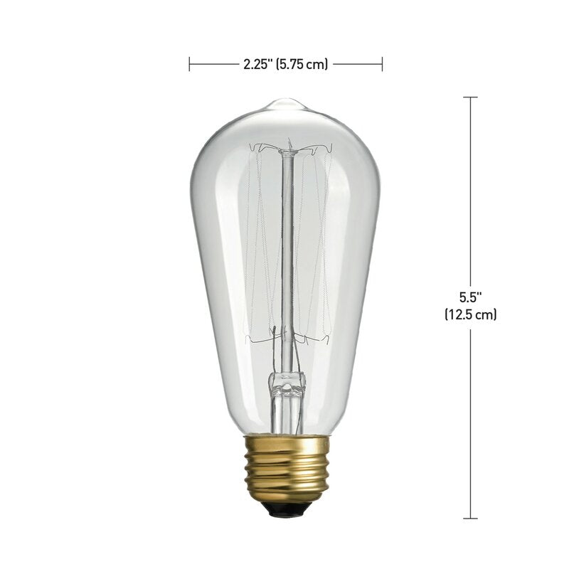 Marcus 60 Watt (60 Watt Equivalent), ST19 Incandescent, Dimmable Light Bulb, Warm White (2700K) E26/Medium (Standard) Base B121-VB377