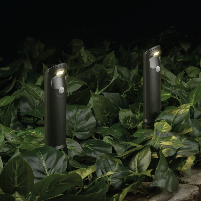 7.8" H × 2.1" W × 1.4" D Brown Mini Battery Powered LED Pathway Light Pack (Set of 10)