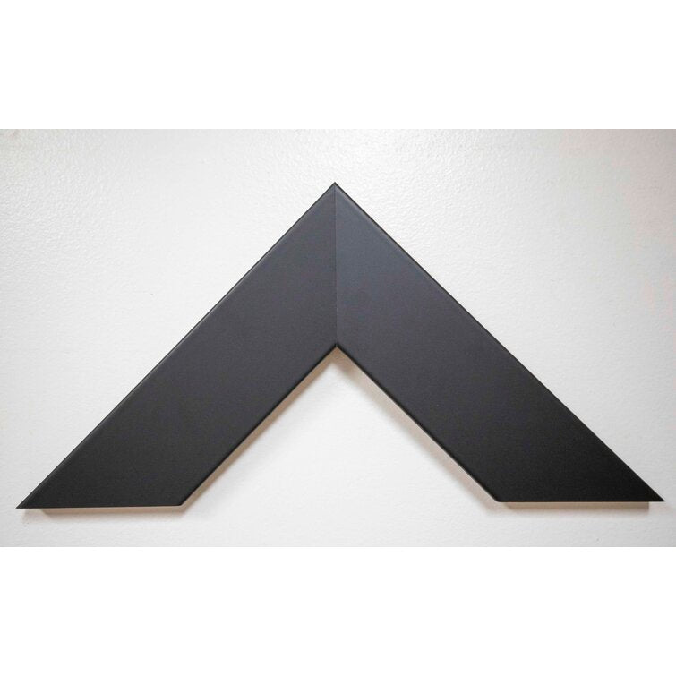 Black Modern & Contemporary Mirror, 70" H x 31" W