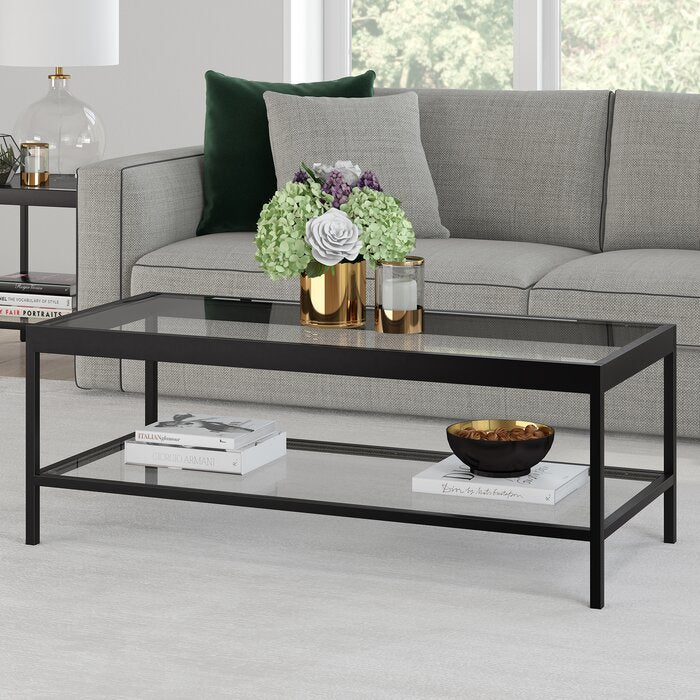 17" H x 45" L x 20" W Mulligan Coffee Table with Storage