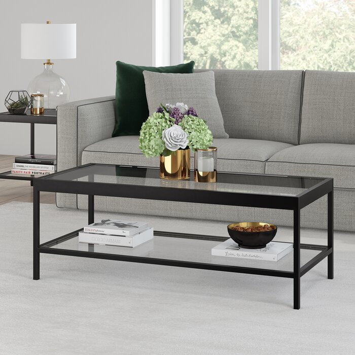 17" H x 45" L x 20" W Mulligan Coffee Table with Storage