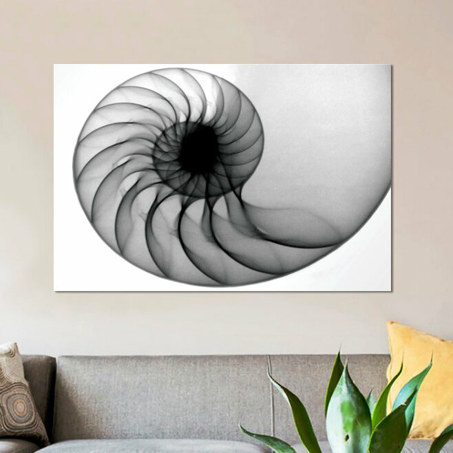 8" H x 12" W x 0.75" D Nautilus by Hong Pham - Wrapped Canvas Gallery-Wrapped Canvas Giclée LC600
