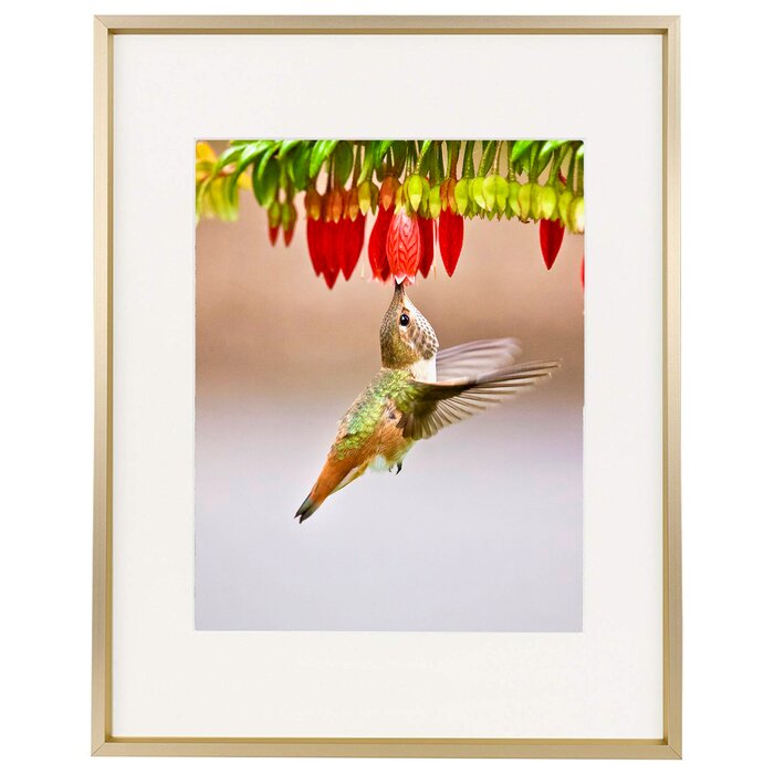 11" x 14" Gold Norcross Aluminum Thin-Border Design Picture Frame (Set of 3) #HA1019