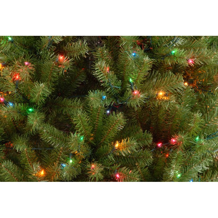 6.5' North Valley 7.416666667' Lighted Artificial Spruce Christmas Tree