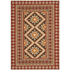 Northpoint Southwestern Indoor / Outdoor Area Rug in Red/Beige rectangle 8'x10'
