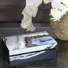 Oakden Glass and Wood Decorative Box (#264)