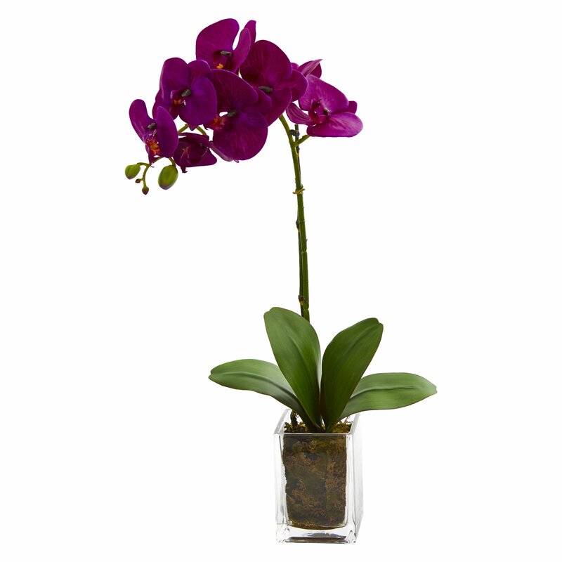 Orchid Floral Arrangement in Vase #CR2030