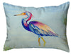 Set of 2 - Robinnett Tri-Colored Heron Indoor/Outdoor Lumbar Pillows (#K1073)