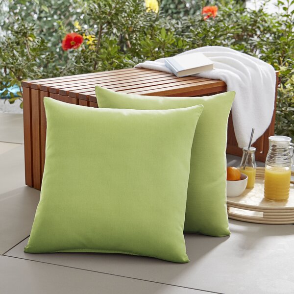 18" H x 18" W x 6" D Apple Green Parvati Outdoor Square Pillow Cover & Insert (Set of 2)